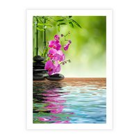 Plakat bez ramy 50x70 - Oaza Storczyka i Wody - spa, storczyk