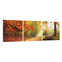 Obraz na płótnie 150x50 - Jesienny urok magia lasu - las, jesień