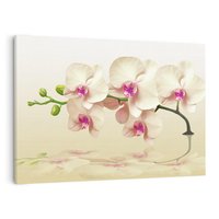 Obraz na płótnie 120x80 - Kwiatowa harmonia w SPA - orchidea, kwiat