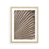 Plakat w ramie 50x70 - Liść Palmy w Wyjątkowej Kompozycji - suchy liść palmy, boho styl - rama drewno
