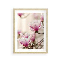 Plakat w ramie 50x70 - Urok Magnolii - magnolie, kwiaty - rama drewno