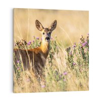 Obraz na płótnie 30x30 - Sarenka na malowniczej łące - sarna, sarenka