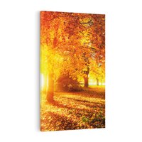 Obraz na płótnie 50x70 - Magia jesiennego lasu - las, drzewa