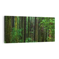 Obraz na płótnie 100x50 - Mistyka leśnej głuszy - las, drzewa