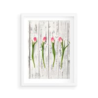 Plakat w ramie 40x50 - Kwintesencja Piękna - kwiaty, tulipany - rama biała