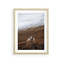 Plakat w ramie 50x70 - Owiecka panorama - góry, owca - rama drewno