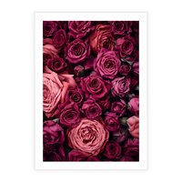 Plakat bez ramy 21x30 - Róże - piękno kwiatów - róże, kwiaty