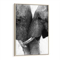 Obraz w ramie 50x70 - Spotkanie Mądrości - fotografia czarno biała, dwa słonie - rama drewno