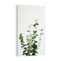 Obraz na płótnie 80x120 - Żywa eukaliptusowa zieleń - eukaliptus, zielone