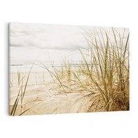 Obraz na płótnie 70x50 - Oaza nad morzem: plaża i roślinność - plaża, morze