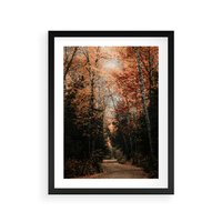 Plakat w ramie 40x50 - Drzewa w Czerwonych Liściach - las, jesienny las - rama czarna