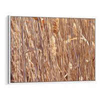 Obraz w ramie 120x80 - Mistrzowskie suche trawy - suche, trawy - rama biała