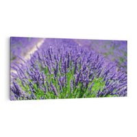 Obraz na płótnie 120x60 - Lawendowe pola piękno natury - lawenda, kwiaty