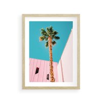 Plakat w ramie 50x70 - Palma w Miami - palma, miami - rama drewno