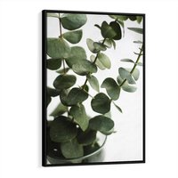 Obraz w ramie 70x100 - Zielone eukaliptusy - eukaliptus, liście - rama czarna