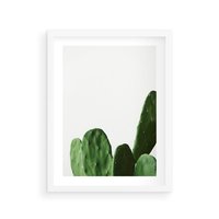Plakat w ramie 30x40 - Minimalizm Natury - kaktus, zbliżenie - rama biała