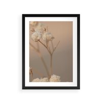 Plakat w ramie 30x40 - Subtelna gipsówka - gipsówka, suche - rama czarna