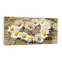 Obraz na płótnie 120x60 - Stokrotki w naturalnym otoczeniu - stokrotki, natura