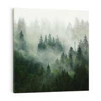 Obraz na płótnie 80x80 - Las Mgły - Las, we