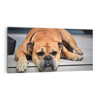 Obraz na płótnie 100x50 - Wernisaż piesek i zwierzaki - pies, piesek