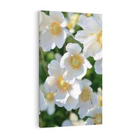 Obraz na płótnie 50x70 - Kwiatowy Raj - kwiat, kwiaty