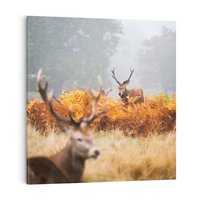 Obraz na płótnie 40x40 - Malownicza Harmonia - jelenie, jesień