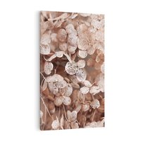 Obraz na płótnie 80x120 - Przemijająca Piękność - fotografia, zbliżenie