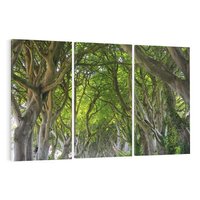 Obraz na płótnie 120x80 - Magiczny Las - drzewa, las