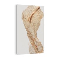 Obraz na płótnie 80x120 - Suszone piękno - susz, suche