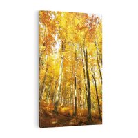 Obraz na płótnie 70x100 - Jesienny Las - Kolorowa Paleta Natury - jesień, drzewa