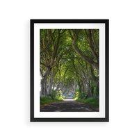 Plakat w ramie 30x40 - Magiczny Las - drzewa, las - rama czarna