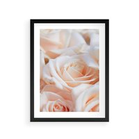 Plakat w ramie 30x40 - Aromatyczna Piękność - płatki herbacianej róży, kwiaty - rama czarna