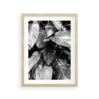 Plakat w ramie 50x70 - Liście w Czarno-Białej Fotografii - liście, roślina - rama drewno