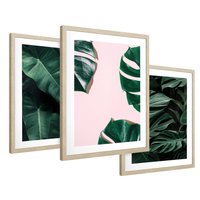 Zestaw obrazy w ramie 40x50 galeria - Monstera, liście, tło, tropikalne - rama drewno
