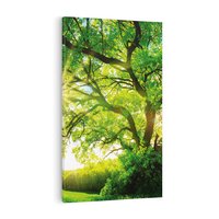 Obraz na płótnie 70x100 - Natura w pełnym rozkwicie - drzewo, niebo