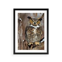 Plakat w ramie 40x50 - Tajemniczy Stróż - sowa, las - rama czarna