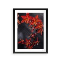 Plakat w ramie 40x50 - Kolorowy Raj - kwiaty, tropikalne - rama czarna