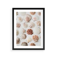 Plakat w ramie 40x50 - Morska Delikatność: Muszelki na Białym Tle - kompozycja, morskie muszelki na białym tle - rama czarna