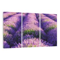 Obraz na płótnie 120x80 - Malownicze Pole Lawendy - lawenda, pole