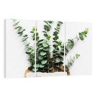 Obraz na płótnie 120x80 - Eukaliptusowa harmonia - eukaliptus, liście