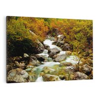 Obraz na płótnie 70x50 - Śpiew Strumienia - strumień, górski