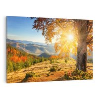 Obraz na płótnie 120x80 - Bliskość natury - góry, drzewo