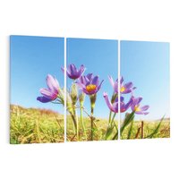 Obraz na płótnie 120x80 - Kwiatowa siła łąki - kwiaty, łąka