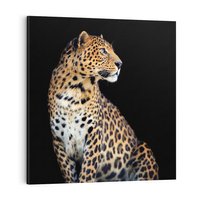 Obraz na płótnie 40x40 - Elegancja Jaguarowej Pantery - jaguar, pantera