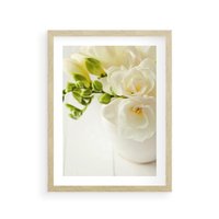 Plakat w ramie 50x70 - Subtelność białych frezji - frezja, białe - rama drewno