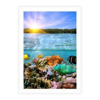 Plakat bez ramy 21x30 - Rafa Koralowa - Podwodne Cuda - rafa, koralowa