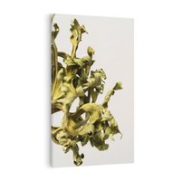 Obraz na płótnie 80x120 - Odejście pory deszczowej - suche, trawy