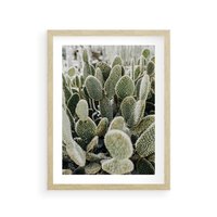 Plakat w ramie 30x40 - Kaktusowa Harmonia - kaktusy, fotografia - rama drewno