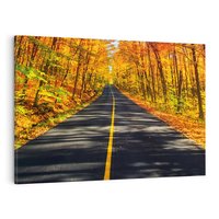 Obraz na płótnie 100x70 - Droga przez jesienny las - droga, las