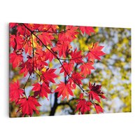 Obraz na płótnie 120x80 - Jesienny Urok Drzewa i Opadających Liści - drzewo, liście